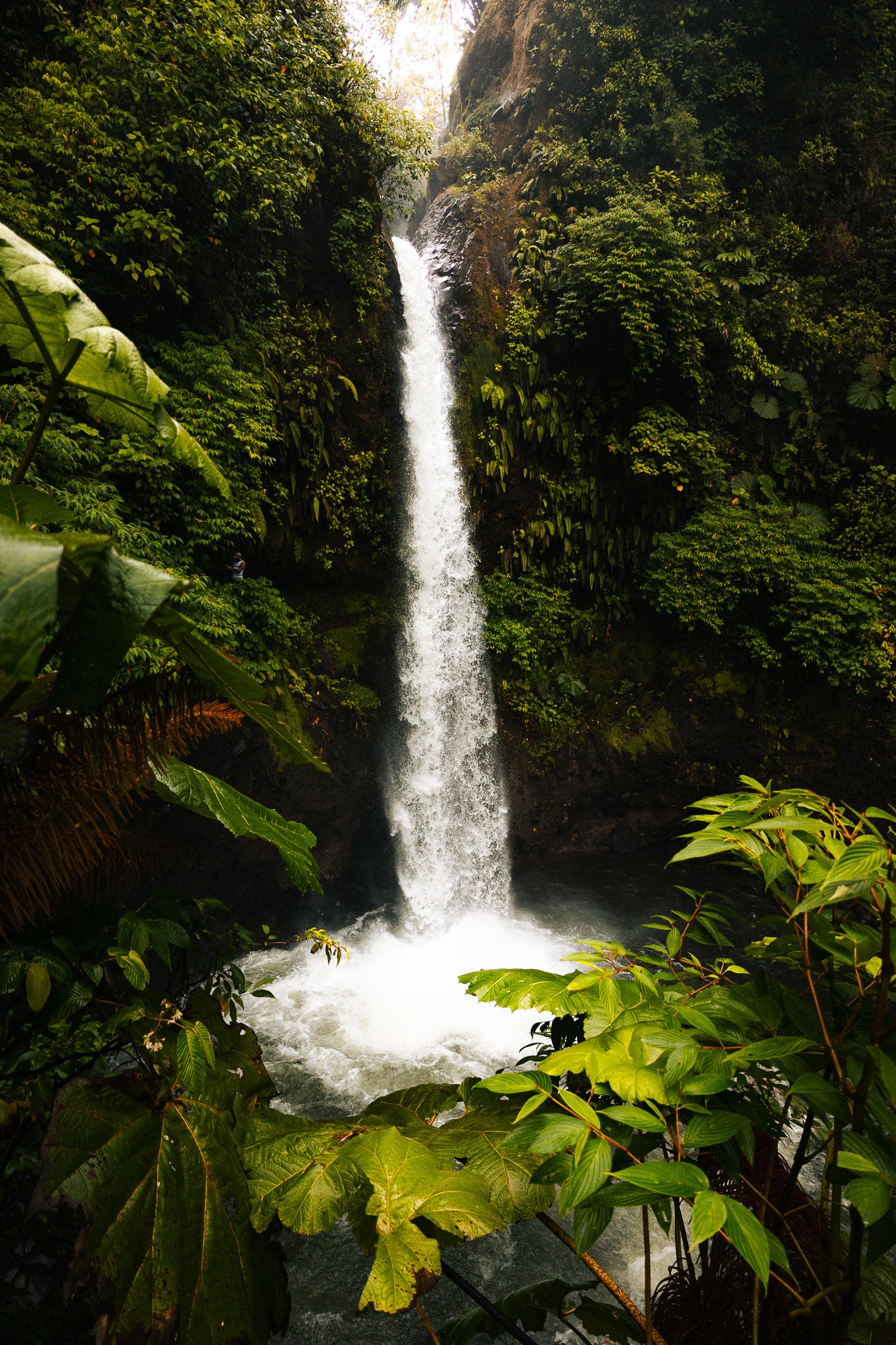 CATARATA