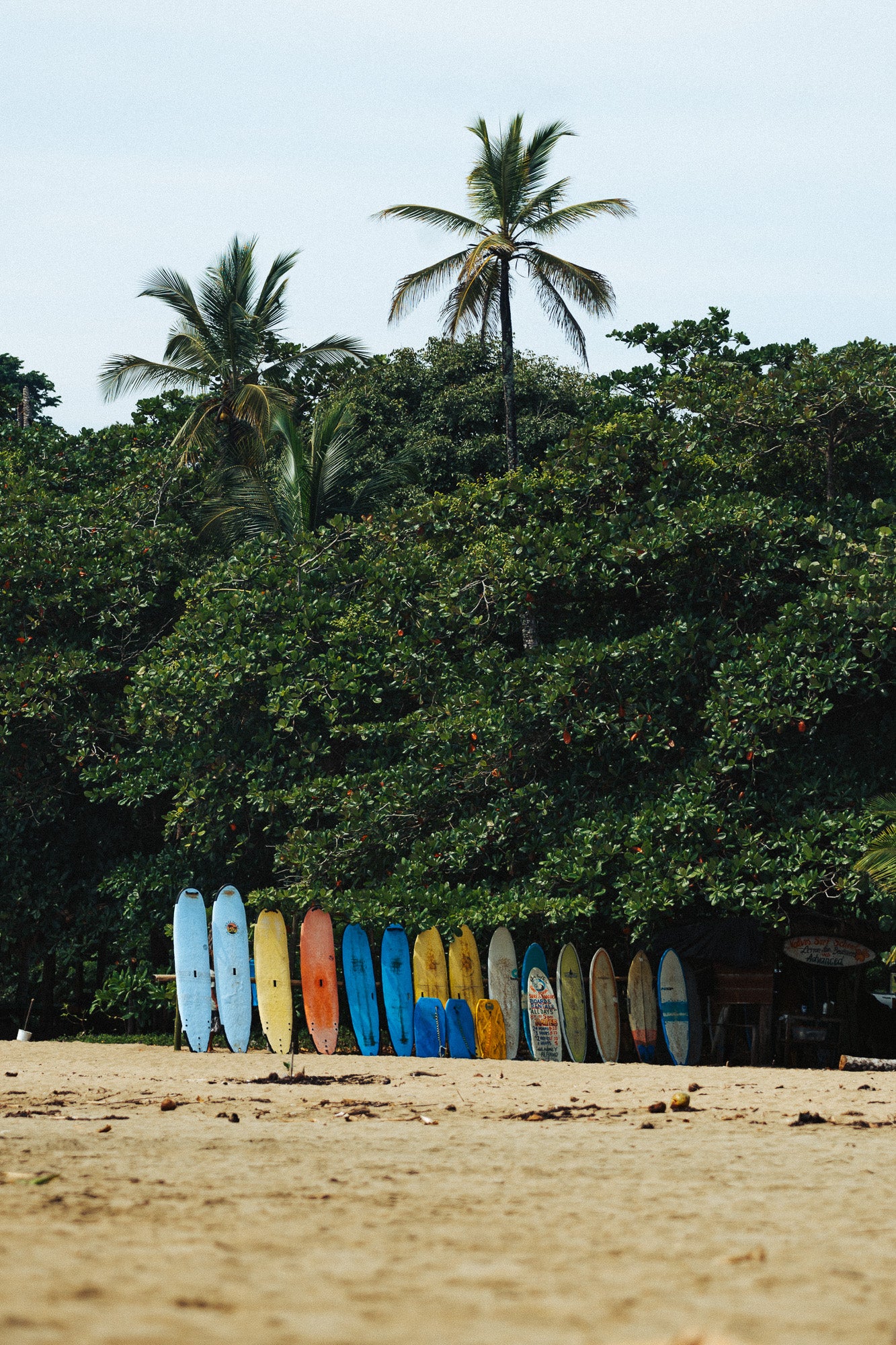 LINEUP
