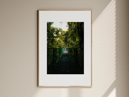 CANOPY