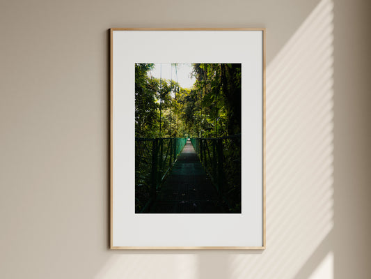 CANOPY