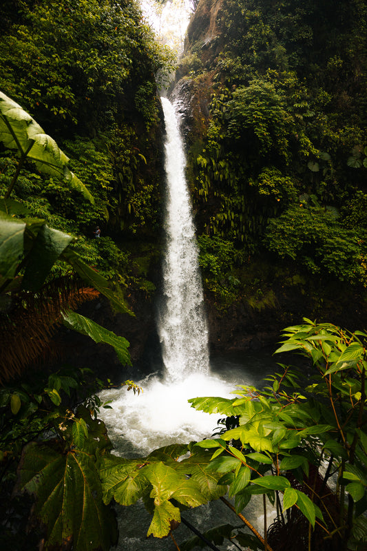 CATARATA