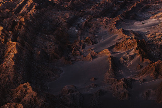 ARID