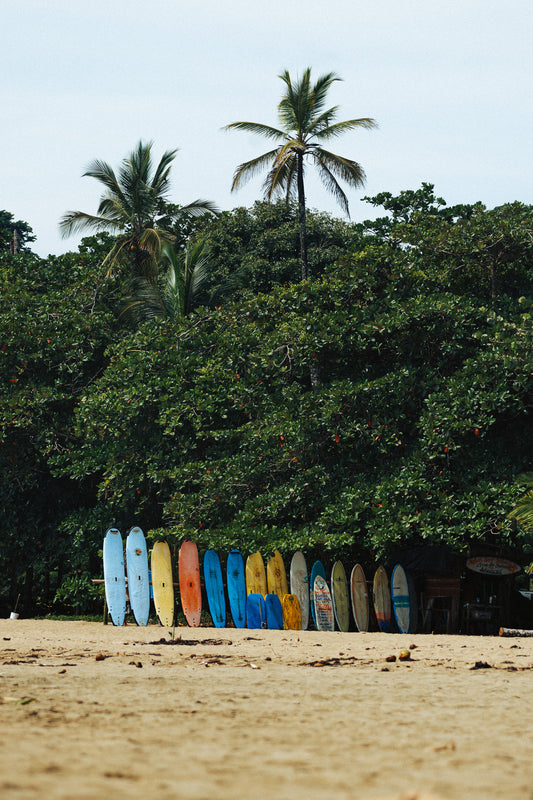 LINEUP