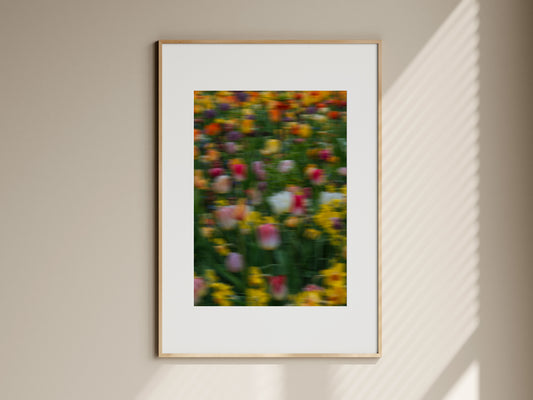 PETALSTORM